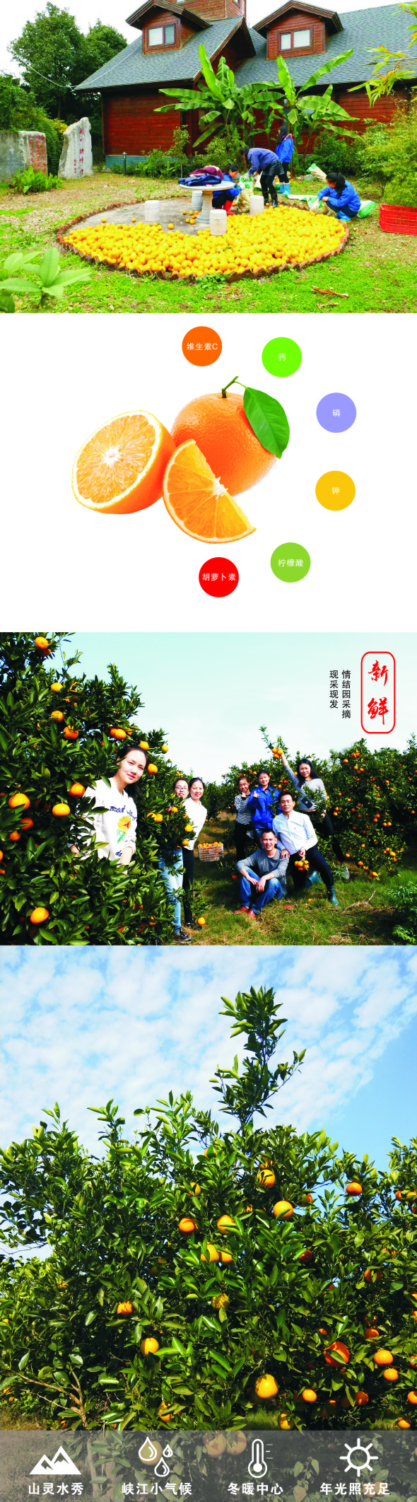 1544678250314992.jpg 寶貝詳情.jpg