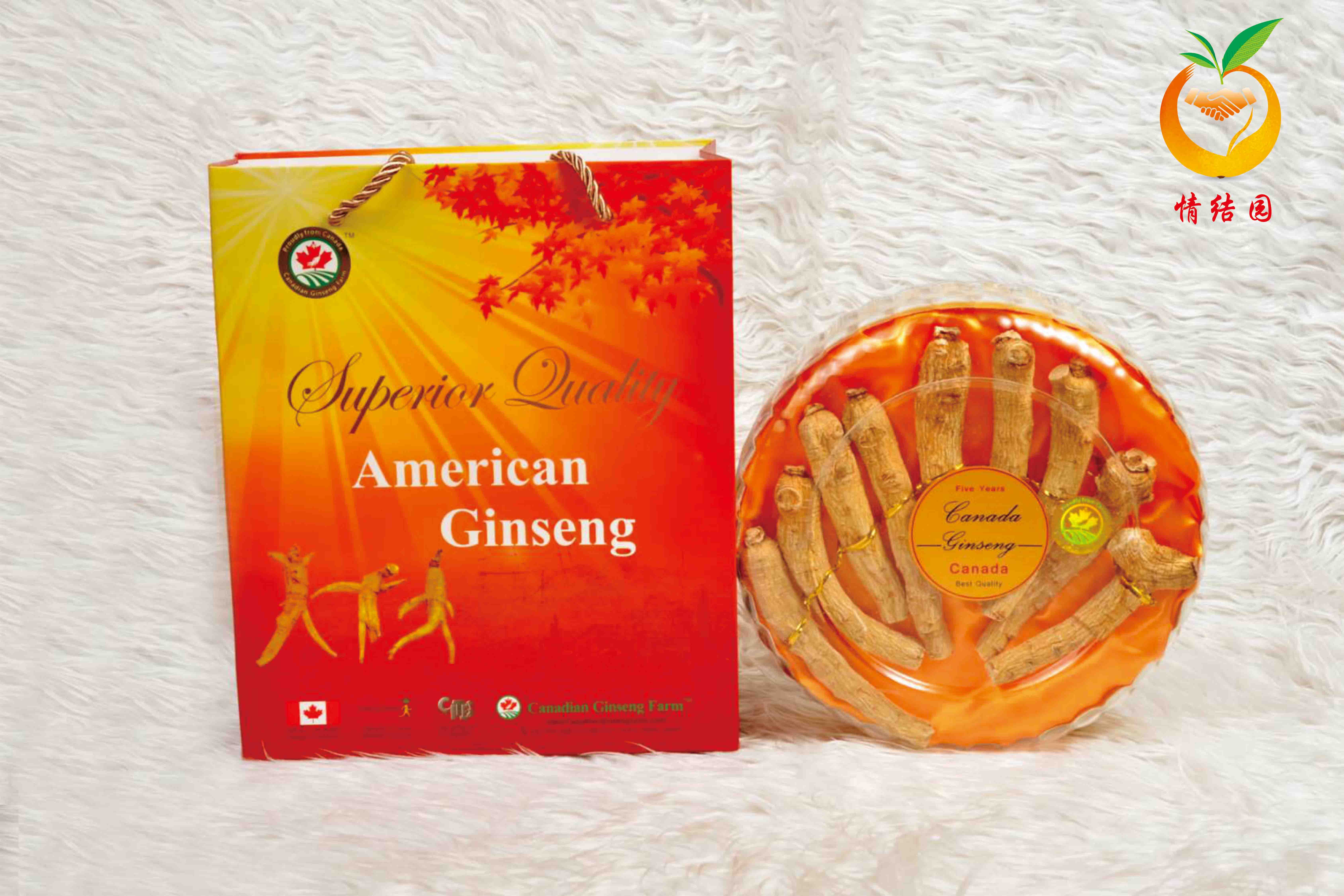 1590199079647040.jpg 1590199079647040.jpg