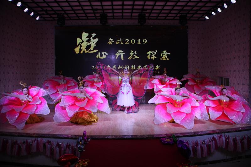 2019年燕獅科技公司元旦晚會(huì)